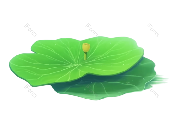 叶子图片,清新元素,荷花PNG,夏天免抠素材